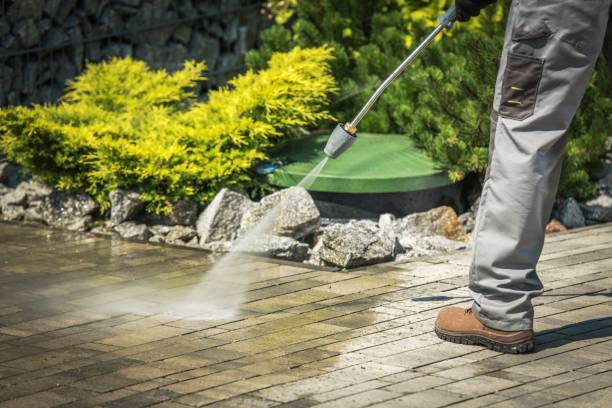 Best Winterizing Services  in Vivian, LA