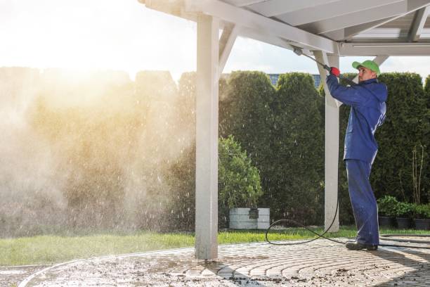 Animal Enclosure Cleaning in Vivian, LA